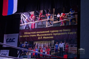 В Мысках прошло первенство Кемеровской области по боксу среди юношей на приз главы Мысковского городского округа.