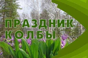 Традиционный весенний праздник, посвященный главному дикоросу Кузбасса — колбе, пройдет в Мысках 17 мая