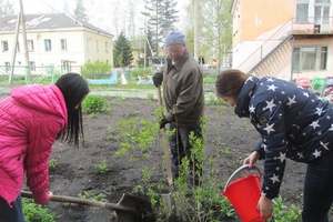 Сегодня во Всероссийский день посадки леса мысковчане трудились на нескольких площадках.