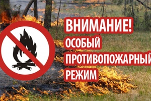 В Кузбассе введен особый противопожарный режим.