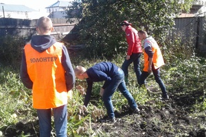 В Мысках добровольцы оказывают помощь ветеранам в уборке урожая.