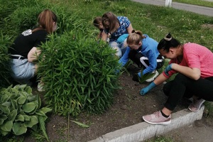 За летний период в образовательных организациях Мысков планируется трудоустроить свыше 350 подростков
