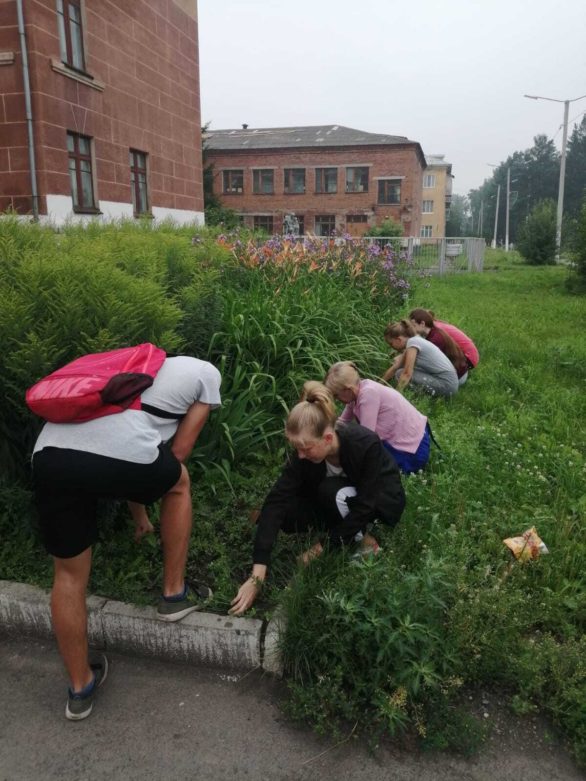 За летний период в образовательных организациях Мысков планируется  трудоустроить свыше 350 подростков | 26.06.2024 | Мыски - БезФормата