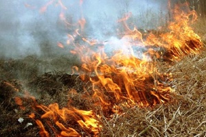 Постановлением администрации города на территории Мысковского городского округа установлен период пожароопасного сезона.