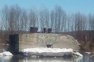 Жизни щенков, оказавшихся посреди реки Мрас-Су на ледорезе (бык), ничего не угрожает.