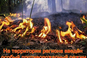 Постановлением администрации города на территории Мысков установлен особый противопожарный режим.
