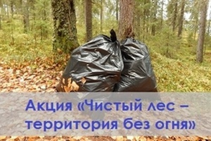В период с 9 по 15 октября 2023 года в Кузбассе проводится профилактическая акция «Чистый лес – территория без огня».