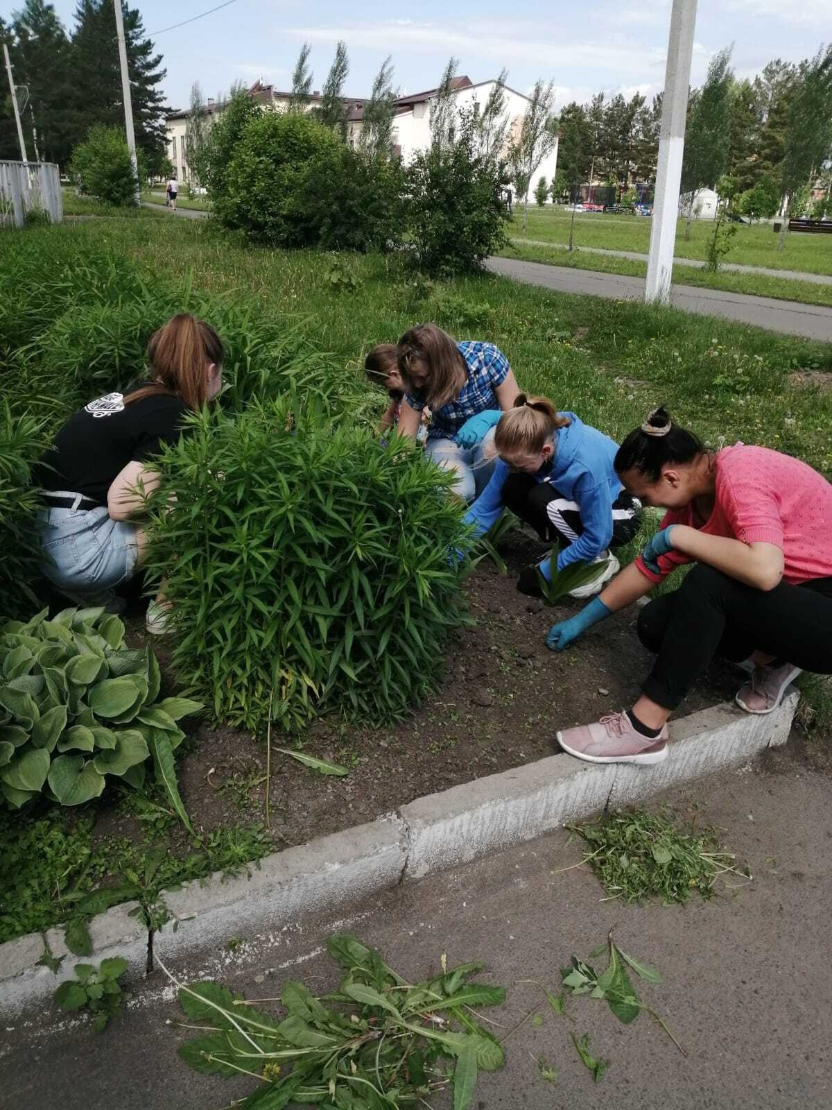 За летний период в образовательных организациях Мысков планируется  трудоустроить свыше 350 подростков | 26.06.2024 | Мыски - БезФормата