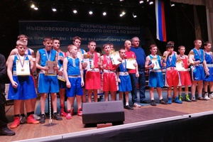 С 23 по 25 января в Городском центре культуры проходило Открытое первенство Мысковского городского округа по боксу среди юношей на призы главы города.