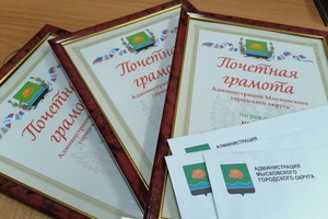 Социальные работники Мысков к профессиональному празднику получили заслуженные награды.