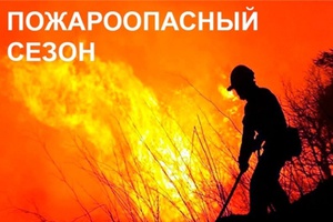 С 15 апреля по 20 октября 2022 года на территории Мысковского городского округа устанавливается период пожароопасного сезона.