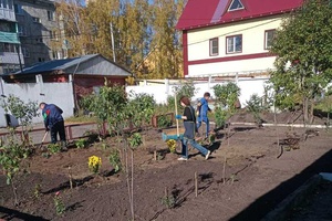 Предприниматели Мысков пополнили зеленое убранство города новыми растениями.
