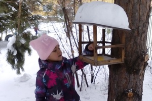 Воспитанники детского сада № 12 «Малыш» и их родители сделали запас корма для птиц.