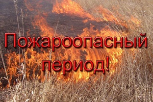 С 15 апреля на территории Мысковского городского округа устанавливается пожароопасный период.