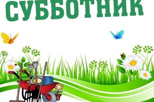 Мысковские предприниматели приведут в порядок участок берега реки Томь.