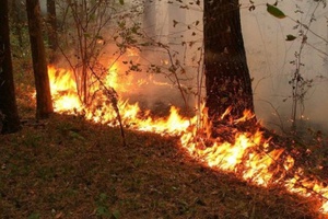 С 8 мая на территории Кемеровской области вводится режим повышенной готовности в связи с повышением класса пожарной опасности.