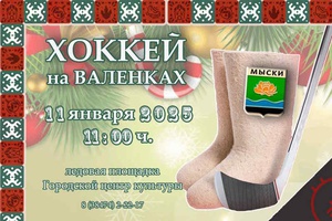 11 января 2025 года на ледовой площадке Городского центра культуры состоится рождественский турнир по хоккею с мячом на валенках.