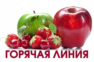 С 2 по 13 августа Управление Роспотребнадзора по Кемеровской области - Кузбассу проводит «горячую линию» по вопросам безопасности плодоовощной продукции и срокам годности.