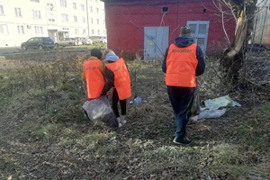 Мысковские волонтеры решили в честь Дня народного единства сделать город чище.