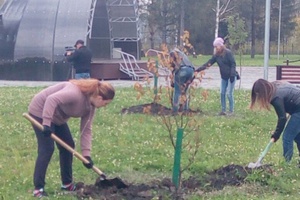 Сегодня в единый день посадки деревьев мысковчане высадили около 2000 деревьев и кустарников.