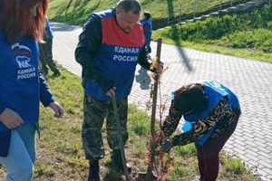 Мысковчане приняли активное участие во Всероссийской акции «Зеленая Россия».