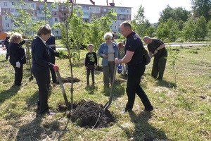 Сегодня Евгений Тимофеев с ветеранами и работниками ЦОФ «Сибирь» принял участие в акции «Сад памяти».