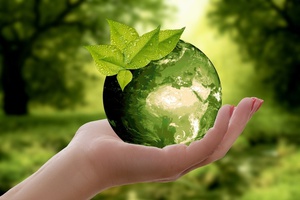 Мысковский Центр дополнительного образования в числе лидеров акции «Дни защиты от экологической опасности».