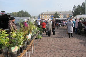 В Мысках проходят ярмарки, посвящённые Дню уважения старшего поколения. Они организованы сразу в двух микрорайонах: в центральном районе города и в поселке Притомский.