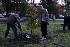 Сегодня в единый день посадки деревьев Мыски украсились новыми саженцами деревьев и кустарников.