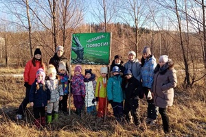 Мысковские школьники приняли участие в областной экологической акции «Поможем лесам выжить!».