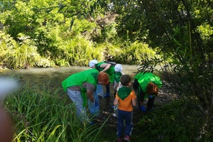 Сегодня воспитанники двух мысковских детских садов вместе с родителями приняли участие в экологической акции.