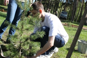 С августа по ноябрь в России проходит масштабная кампания по восстановлению лесов.