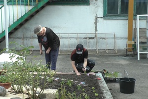 Школьники работают в библиотеках и других учреждениях культуры.