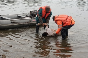 С начала купального сезона на водных объектах Мысковского городского округа произошло два трагических случая.
