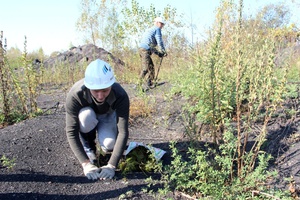 Работники угольной компании «Южный Кузбасс» высадили 24 тысячи саженцев хвойных деревьев в рамках программы рекультивации нарушенных земель.